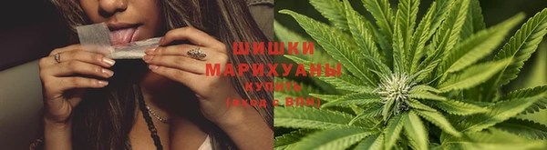 гидра Балабаново